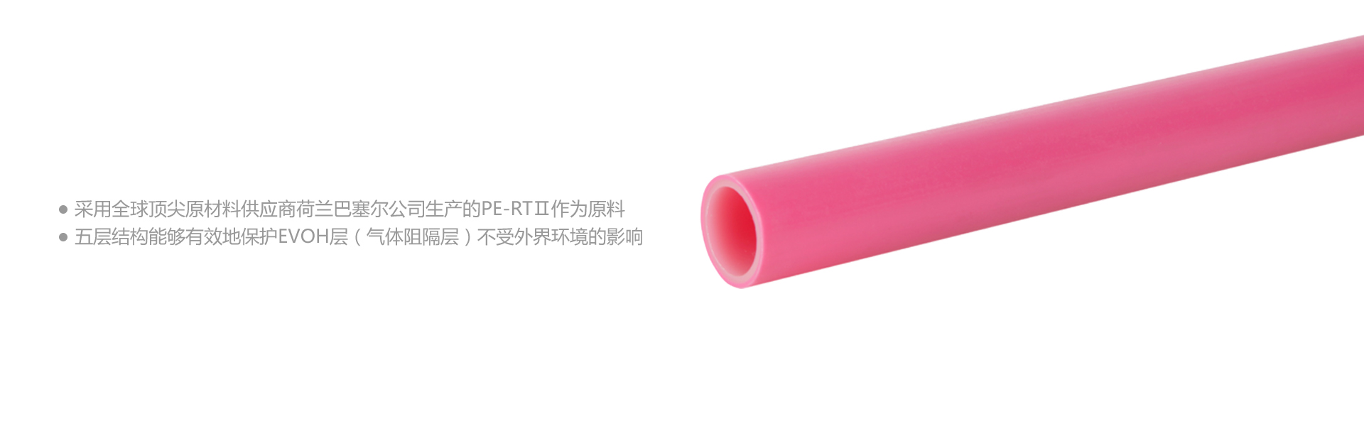 PERT-阻氧 仰菌王